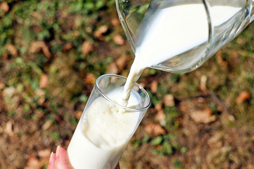 Plant milks better for environment and health than cow milk: science